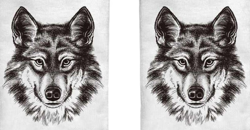 Wolf Head Socks